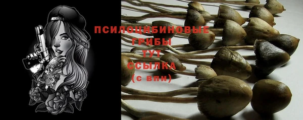 индика Нея