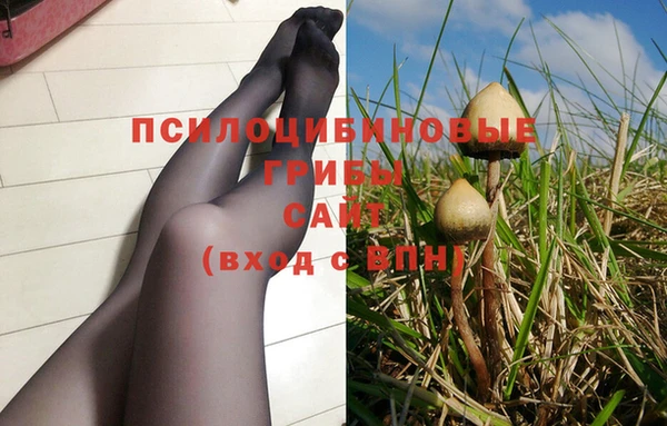 индика Нея