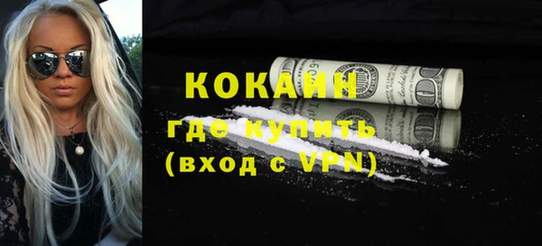 индика Нея