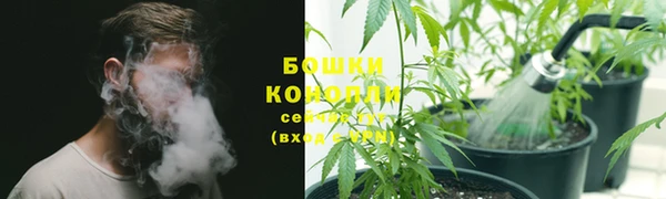 ПСИЛОЦИБИНОВЫЕ ГРИБЫ Нефтегорск