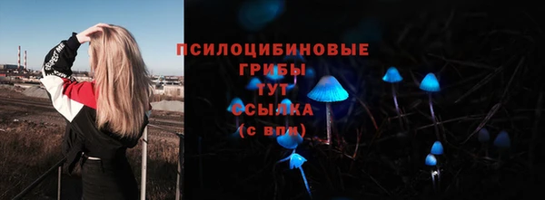 ПСИЛОЦИБИНОВЫЕ ГРИБЫ Нефтегорск