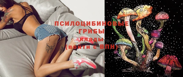 индика Нея