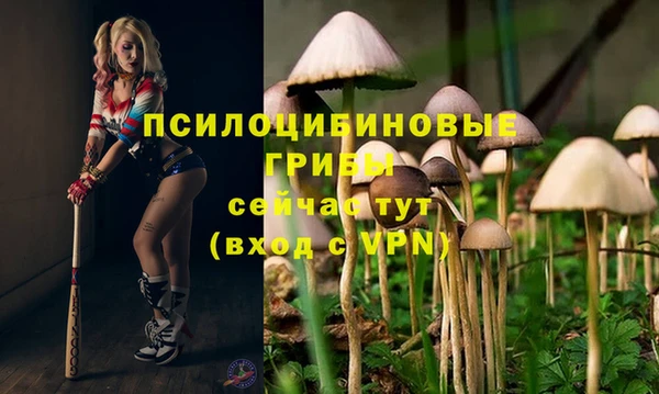 индика Нея