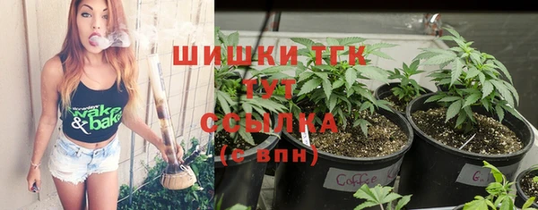 индика Нея