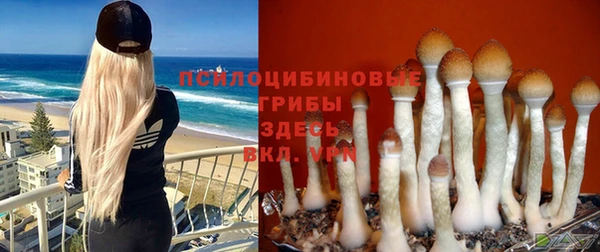 индика Нея