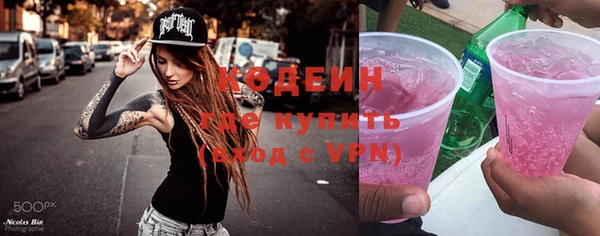 индика Нея